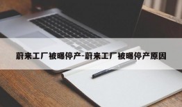 蔚来工厂被曝停产-蔚来工厂被曝停产原因