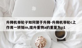 升降机带轮子如何便于升降-升降机带轮c上作用一转矩m,提升重物a的重量为p1