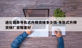 通化链条导轨式升降货梯多少钱-导轨式升降货梯厂家哪里好