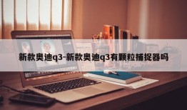 新款奥迪q3-新款奥迪q3有颗粒捕捉器吗