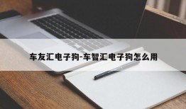 车友汇电子狗-车智汇电子狗怎么用