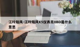 江玲陆风-江玲陆风X5仪表亮0BD是什么意思