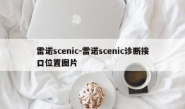 雷诺scenic-雷诺scenic诊断接口位置图片