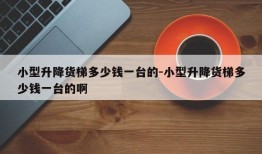 小型升降货梯多少钱一台的-小型升降货梯多少钱一台的啊