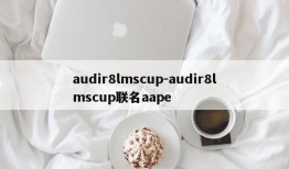 audir8lmscup-audir8lmscup联名aape