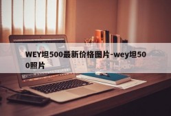 WEY坦500最新价格图片-wey坦500照片