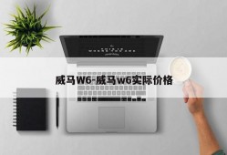 威马W6-威马w6实际价格