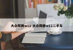 大众辉腾w12-大众辉腾w12二手车