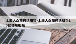 上海大众斯柯达明锐-上海大众斯柯达明锐13款使用视频