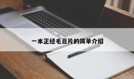 一本正经毛豆片的简单介绍