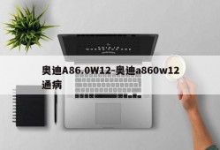 奥迪A86.0W12-奥迪a860w12通病