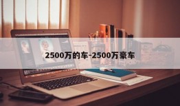 2500万的车-2500万豪车