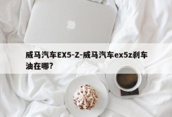 威马汽车EX5-Z-威马汽车ex5z刹车油在哪?