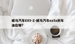 威马汽车EX5-Z-威马汽车ex5z刹车油在哪?