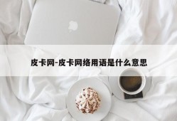 皮卡网-皮卡网络用语是什么意思