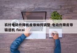 农村电动升降机皮带如何调整-电动升降皮带输送机 facai