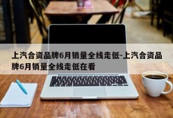 上汽合资品牌6月销量全线走低-上汽合资品牌6月销量全线走低在看