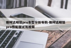 斯柯达明锐pro车型分析导购-斯柯达明锐pro性能版试驾视频