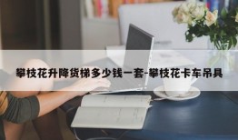 攀枝花升降货梯多少钱一套-攀枝花卡车吊具