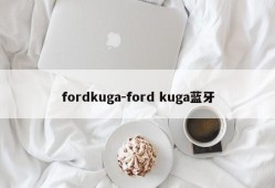 fordkuga-ford kuga蓝牙