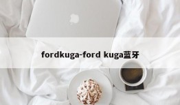 fordkuga-ford kuga蓝牙