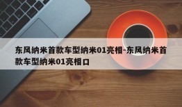 东风纳米首款车型纳米01亮相-东风纳米首款车型纳米01亮相口