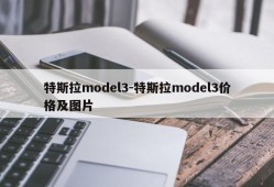 特斯拉model3-特斯拉model3价格及图片