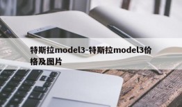 特斯拉model3-特斯拉model3价格及图片