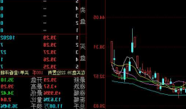 路畅科技（002813）：11月21日13时56分触及涨停板