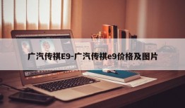 广汽传祺E9-广汽传祺e9价格及图片