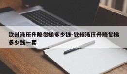 钦州液压升降货梯多少钱-钦州液压升降货梯多少钱一套