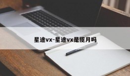 星途vx-星途vx是揽月吗