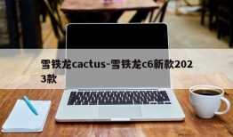 雪铁龙cactus-雪铁龙c6新款2023款