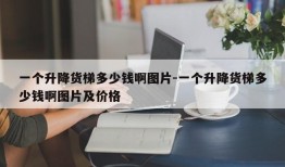 一个升降货梯多少钱啊图片-一个升降货梯多少钱啊图片及价格