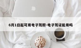 6月1日起可用电子驾照-电子驾证能用吗