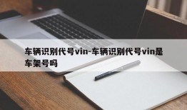 车辆识别代号vin-车辆识别代号vin是车架号吗