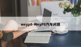 weyp8-WeyP8汽车问题