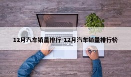 12月汽车销量排行-12月汽车销量排行榜