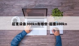 起重设备300kn有哪些-起重100kn