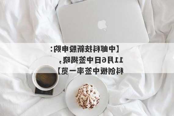 中邮科技网上发行：逾270亿股争夺1224万股，中签率仅0.045%，11月6日揭晓